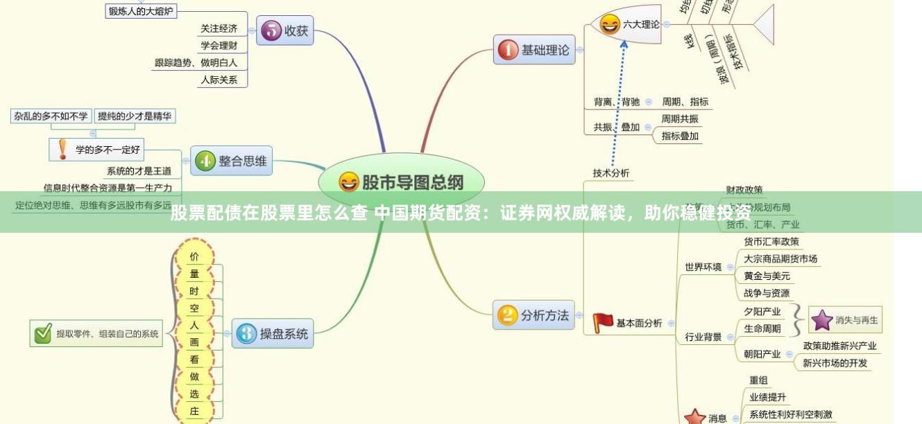 股票配债在股票里怎么查 中国期货配资：证券网权威解读，助你稳健投资